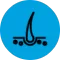 sakal-ekim-icon.png